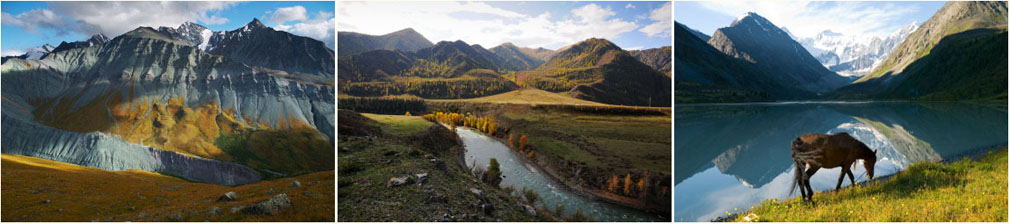 Земля на Алтае. Земельные участки, расположенные в Чемальском районе Республики Алтай. Рассмотрим предложения о покупке или инвестиционном развитии.